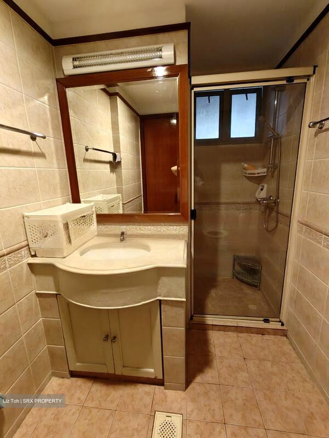 Parc Vista (D22), Condominium #449617461